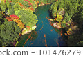 Autumn leaves and green Okutama seen from the sky 101476279
