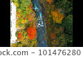 Okutama with autumn leaves reflected in the water 101476280