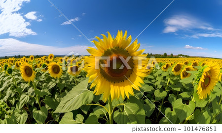 延伸到藍天和地平線的向日葵花田 人工智能生成的圖像 101476851