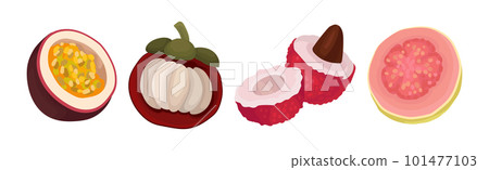 Ripe and Fresh Exotic Fruits with Sweet Tasty Pulp Vector Set Ripe and Fresh Exotic Fruits with Sweet Tasty Pulp Vector Set 101477103
