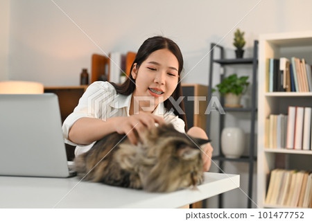 Happy young woman playing her fluffy gray cat lying on desk at home office. Love, friendship and pets concept Happy young woman playing her fluffy gray cat lying on desk at home office. Love, friendship and pets concept 101477752
