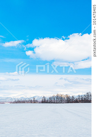 Winter in Biei 101478405