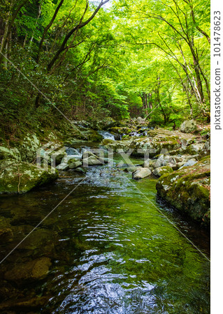 Shirakigami Valley of the fresh green Shirakigami Valley of the fresh green 101478623