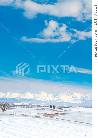 Winter in Biei 101479113