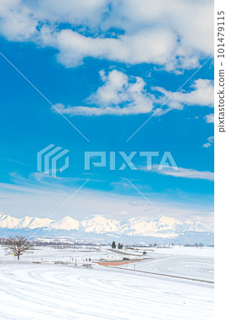 Winter in Biei 101479115