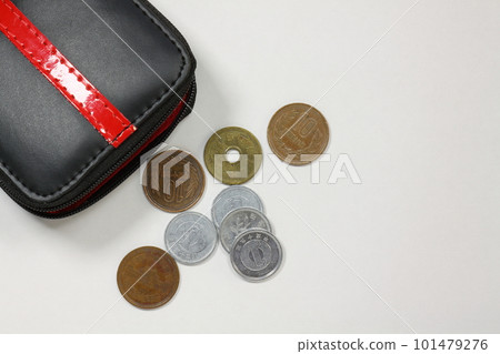 Wallet and coin 101479276