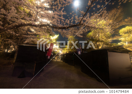 Aizu Tsuruga castle 101479484