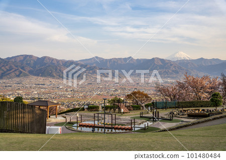 Spring in full bloom at Fuefukigawa Fruit Park 101480484
