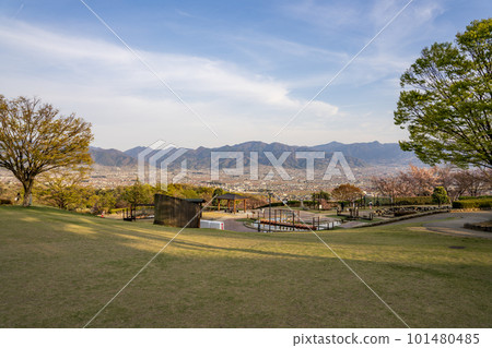 Spring in full bloom at Fuefukigawa Fruit Park 101480485