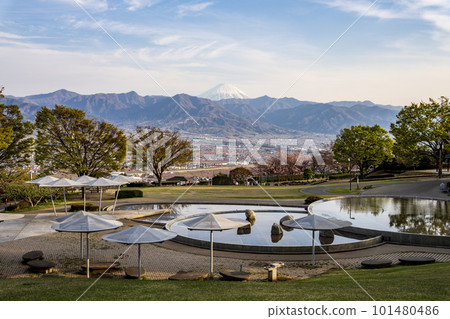 Spring in full bloom at Fuefukigawa Fruit Park 101480486