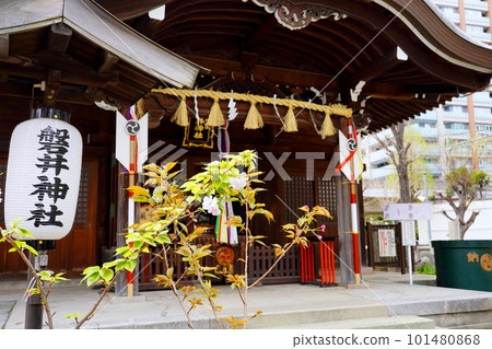 東京都大田區岩井神社大森北 東京都大田區岩井神社大森北 101480868