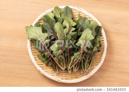 red stem spinach 101481033