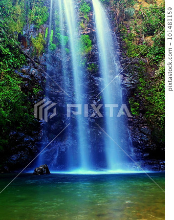 Waterfall on the main island of Okinawa (Ta-taki) Waterfall on the main island of Okinawa (Ta-taki) 101481159