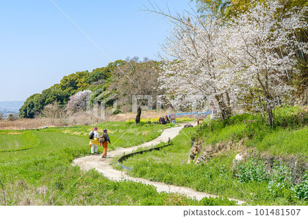 [Nara Prefecture] Yamanobe Road 101481507