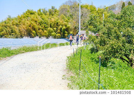 [Nara Prefecture] Yamanobe Road 101481508