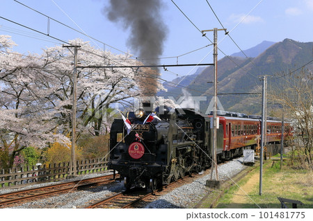 Spring Chichibu Railway SL 101481775