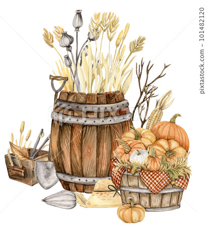 Watercolor composition of an old wooden cart and pumpkins. An old rusty enamel element. Hand-drawn illustration with watercolour on a white background. Perfect for wedding invitation, greetings card. 101482120