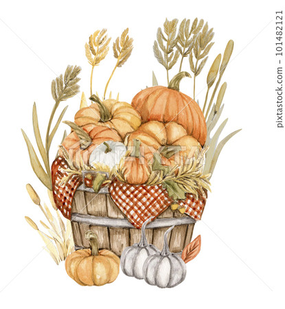 Watercolor composition of an old wooden cart and pumpkins. An old rusty enamel element. Hand-drawn illustration with watercolour on a white background. Perfect for wedding invitation, greetings card. 101482121