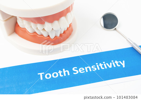 The Dentures model with tooth sensitivity dental disease on white background. The Dentures model with tooth sensitivity dental disease on white background. 101483084