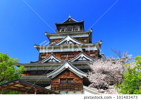 [Hiroshima Prefecture] The castle tower of Hiroshima Castle with cherry blossoms in full bloom 101483473