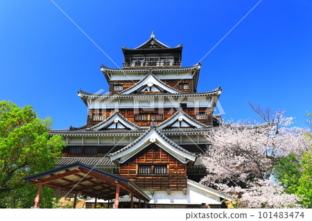 [Hiroshima Prefecture] The castle tower of Hiroshima Castle with cherry blossoms in full bloom 101483474