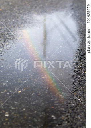 彩虹在雨後的水坑里形成 彩虹在雨後的水坑里形成 101483959