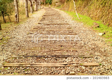 Old Fukuchiyama Line in early spring Abandoned railroad Old Fukuchiyama Line in early spring Abandoned railroad 101483983