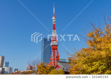 【東京都市風光】芝公園和東京鐵塔的秋色 101485143
