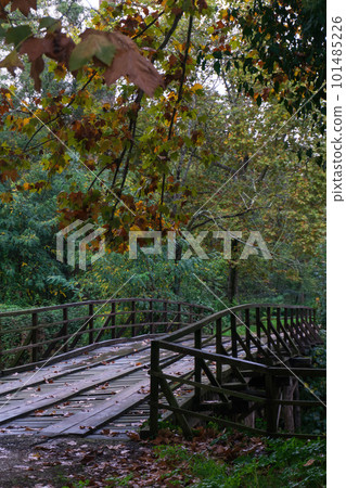 Wooden bridge across the river in the autumn park 101485226