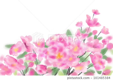 凱多花卡2 凱多花卡2 101485384