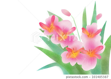 六出花花卡1 六出花花卡1 101485387