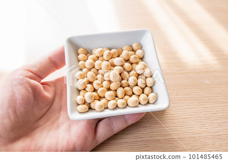 soybeans on a white plate soybeans on a white plate 101485465