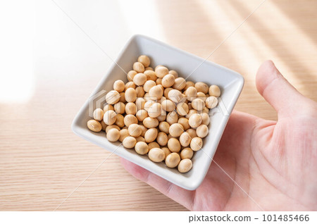 白盤子裡的大豆 白盤子裡的大豆 101485466