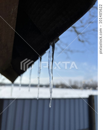Icicles on the roof melt in the spring sun. Selective focus 101485622