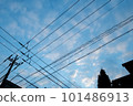 Early morning sky and electric wires 101486913