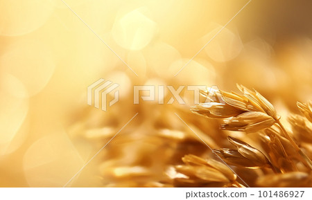Saisonal wheat field in luminous golden colors. Close-up with short depth of field and abstract bokeh. Background for a nutrition concept. 101486927