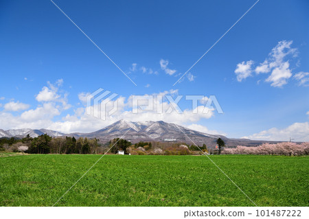 Scenery of cherry blossoms in full bloom and Mt. Nasu 101487222