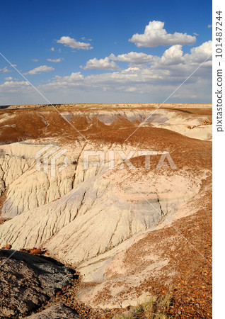 Rugged Landscape Petrified Forest Arizona Rugged Landscape Petrified Forest Arizona 101487244