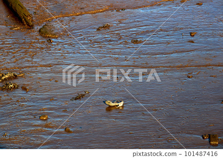General Debris and Old Shoe in a Muddy River Estuary 101487416
