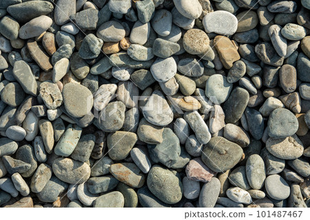 Different color beach stone pebbles at seashore outdoors top view. Abstract smooth round pebbles sea Different color beach stone pebbles at seashore outdoors top view. Abstract smooth round pebbles sea 101487467