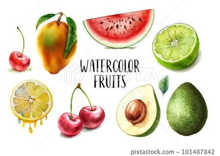 Watercolor painted collection of fruits. Hand drawn fresh food design elements isolated on white background. Watercolor painted collection of fruits. Hand drawn fresh food design elements isolated on white background. 101487842