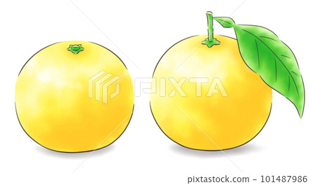 日向夏季套裝有葉/無葉（有陰影），1色線 101487986