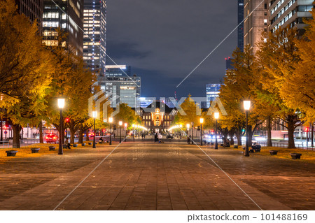 《東京》秋天的東京丸之內・彩色銀杏銀杏街 101488169