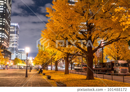 《東京》秋天的東京丸之內・彩色銀杏銀杏街 《東京》秋天的東京丸之內・彩色銀杏銀杏街 101488172