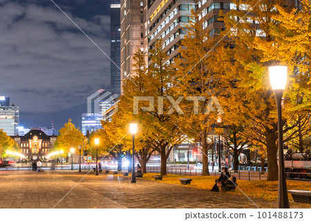 《東京》秋天的東京丸之內・彩色銀杏銀杏街 《東京》秋天的東京丸之內・彩色銀杏銀杏街 101488173