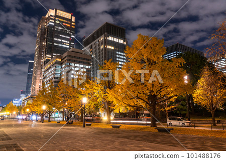 《Tokyo》Autumn Tokyo Marunouchi・Colored Ginkgo Ginkgo Street 《Tokyo》Autumn Tokyo Marunouchi・Colored Ginkgo Ginkgo Street 101488176