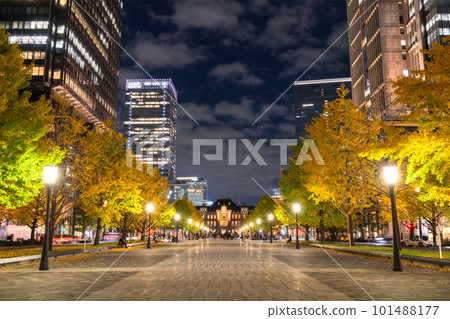《東京》秋天的東京丸之內・彩色銀杏銀杏街 101488177