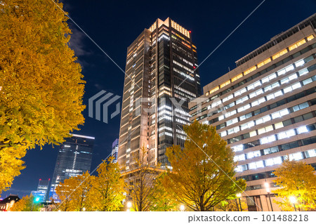 《東京》秋天的東京丸之內・彩色銀杏銀杏街 101488218