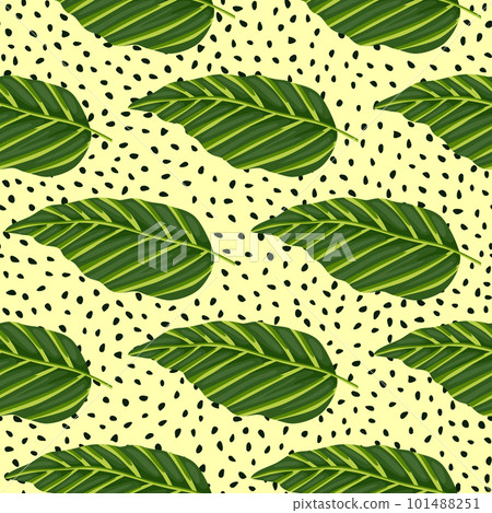 Decorative tropical palm leaves seamless pattern. Jungle leaf wallpaper. Exotic botanical texture. Decorative tropical palm leaves seamless pattern. Jungle leaf wallpaper. Exotic botanical texture. 101488251