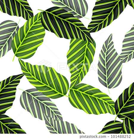 Decorative tropical palm leaves seamless pattern. Jungle leaf wallpaper. Exotic botanical texture. Decorative tropical palm leaves seamless pattern. Jungle leaf wallpaper. Exotic botanical texture. 101488252